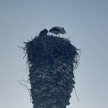 Vista Ria Formosa Olhão